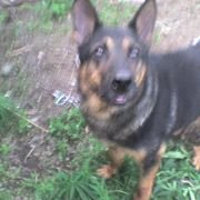 remus