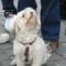dorina02