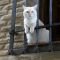 Fred