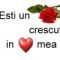 Lory95