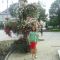 anky