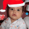 livisor27