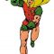 Robin